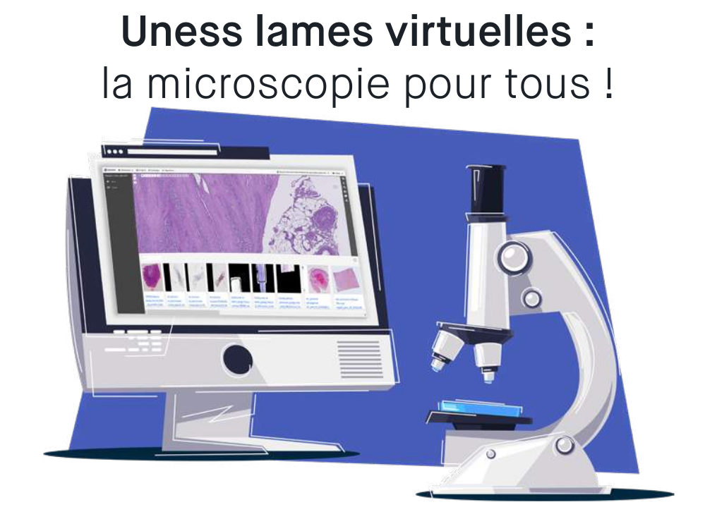 Description de l'image 1